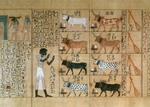 Papyrus met ossen, uit het Dodenboek van Maiherperi door Egyptian 18th Dynasty