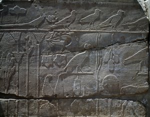 Planten en dieren teruggebracht van Thoetmosis III