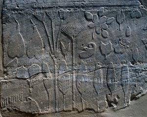 Voorstellingen van planten en dieren gebracht uit Syrië door Thoetmosis III in 1465 v.Chr., detail van reliëf, kamer bekend als Botanische Tuin, Karnak tempelcomplex (UNESCO Werelderfgoedlijst)