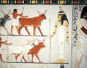 Herders en vee voor de godin Imentet, fresco, zuidmuur, longitudinale kamer, Thebaanse Tombe TT69, Sheikh Abd el-Qurna, Thebe (Unesco Werelderfgoedlijst)