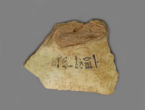 Wijnlabel, gevonden in het paleis van Amenhotep III, Thebe, Nieuw Koninkrijk