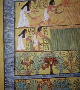 Detail van een oogstscène op de oostmuur door Egyptian 19th Dynasty