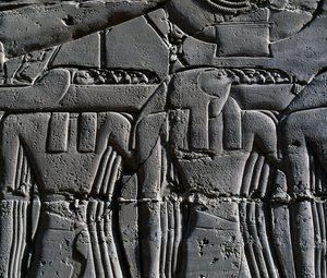 Priester met havikmasker (detail) van scène die Ramses II voorstelt voor heilige boot, reliëf, binnenmuren van Grote Hypostyle Hal, Karnak tempelcomplex (Unesco Werelderfgoedlijst)