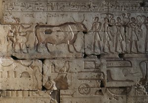 Reliëf, Tempel van Ramses II, Abydos, Egypte, Egyptische beschaving, Nieuwe Rijk, Dynastie XIX (foto)