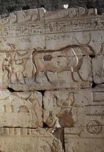 Reliëf, Tempel van Ramses II, Abydos, Egypte, Egyptische beschaving, Nieuwe Rijk, Dynastie XIX door Egyptian 19th Dynasty