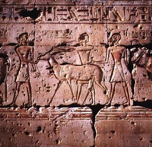 Reliëf afgebeeld oryx geleid in processie voor offer, uit de tempel van Ramses II, Nieuwe Koninkrijk