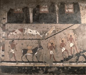 Landbouwscène, muurschildering verwijderd uit de Mastaba van Ti in Sakkara, Oude Rijk, ca. 2494-2345 v.Chr.
