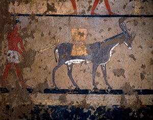 Egyptische oudheid: het transport van graan op de rug van een muilezel. Temperaschildering van de muur van het graf van de kanselier van koning Iti (of Ity) 2200-2000 v.Chr. Uit El Ghebelen, Luxor. Turijn, Egyptisch museum door Egyptian Egyptian