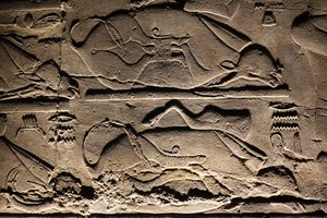 Luxor Tempel: Geofferde koeien (reliëf)