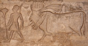 Man die een koe trekt, Horus-tempel, Edfu door Egyptian Egyptian