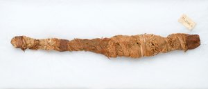 Mummie van een krokodil, gevonden in Manfalont, 305-30 v.Chr.