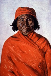 Geronimo, c.1900 door Elbridge Ayer Burbank