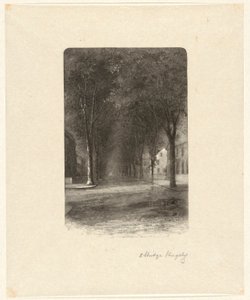 Zonder Titel [Met Bomen Omzoomde Straat]