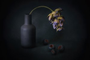 Bloemen en bessen in de schaduw door Elena Arjona