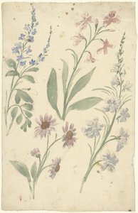 Vier studies van roze en blauwe bloemen door Elias van Nijmegen