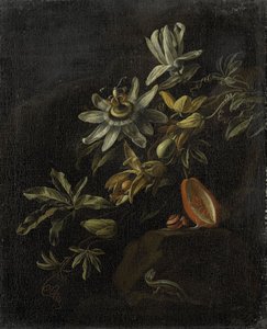 Stilleven met passiebloemen door Elias van den Broeck