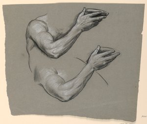 Studie van arm