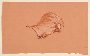 Draperiestudie voor gekostumeerde mannelijke torso