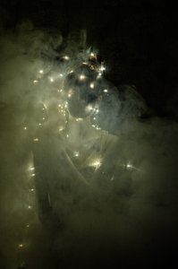 Lichtheid van het zijn 1, 2014