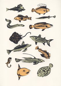 Vlakke Vis, 2015 door Eliza Southwood