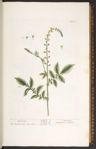 Plaat 21, Agrimonie, uit 