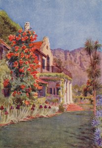 Bignonia grandiflora bij Paradise, Claremont (kleurenlitho)