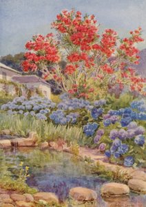 Hortensia