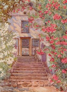 Roze en witte oleanders, Alphen, Wynberg (kleurenlitho)