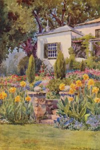 Gele Cannas bij de Trappen, Bishopscourt, bij Kaapstad (kleurenlitho)