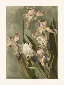  door Elizabeth F. Parker