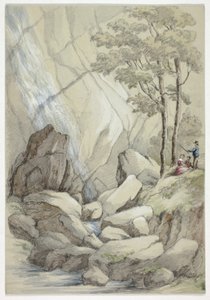 Powerscourt Waterval door Elizabeth Murray