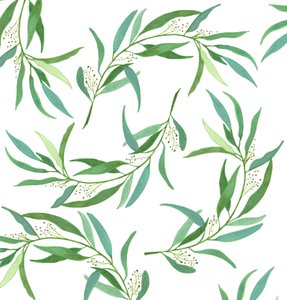 Eucalyptusbladeren, 2018 (aquarel en acryl) door Elizabeth Rider