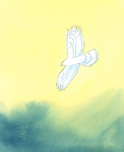 In Zijn gerechtigheid is God als een enorme roofvogel, die van veraf het kleinste schepsel op aarde en al zijn bewegingen ziet