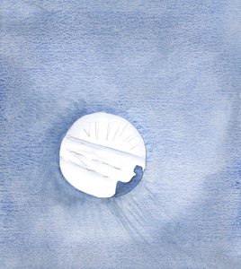 De genaden die Christus ons geeft zijn als een rivier die ons naar de bron voert door Elizabeth Wang