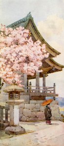 Kersenboom bij Kyomidzu (kleurenlitho)