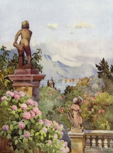 Hortensia