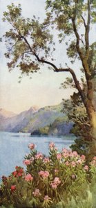 Lago di Lecco, Lago di Como door Ella Du Cane