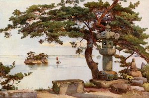 Dennenboom bij Matsushima (kleurenlitho)