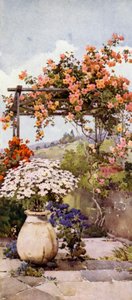 Rozen, Santa Luzia