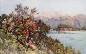Rozen, Villa Carlotta, Lago di Como door Ella Du Cane
