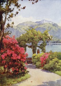 Villa Carlotta, Lago di Como door Ella Du Cane
