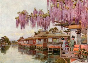 Wistaria, Nagaoka (kleurenlitho)