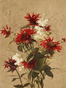 Balm en Spiraea Door Ellen Thayer Fisher