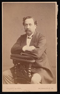 Portret van David Forbes 1828-1876, 1874