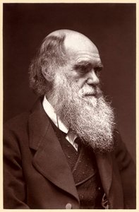 Charles Darwin: Engelse natuuronderzoeker