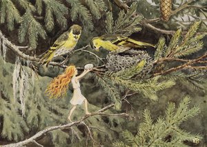 Het Zonne-ei (1932) De vogels