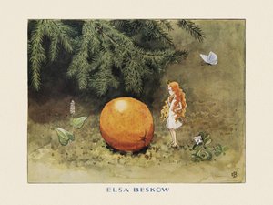 Het zonne-ei De sinaasappel