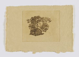 Bomenstudie (fm. portefeuille) door Emil Carlsen