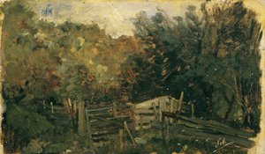 Natuurstudie uit Goisern