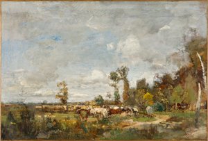 Grazend vee in Holland
